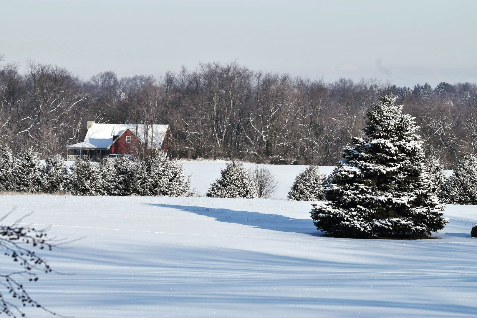 Morgan Township winter